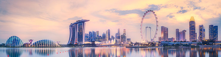 singapore flights