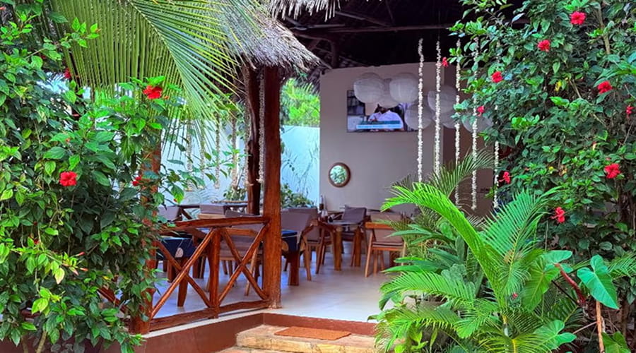 Oasis Nungwi, Zanzibar, Tanzania