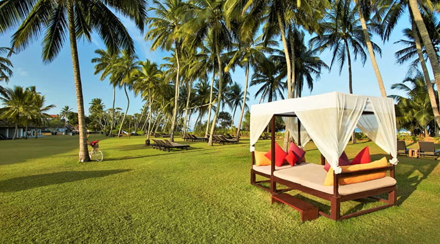 Thaala Bentota, Bentota, Sri Lanka