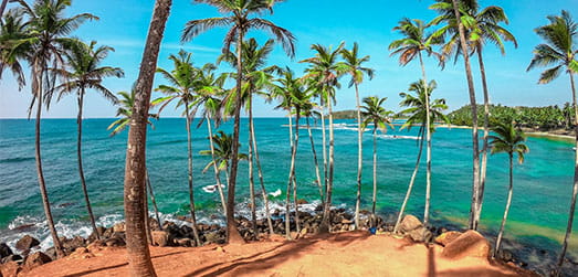 Sri Lanka Holidays